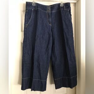 Loft Women's Blue Wide-Leg Jean Culottes